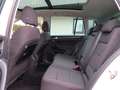 Volkswagen Golf Sportsvan VII Sound Aut. / Panorama /Kamera Weiß - thumbnail 23