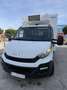 Iveco Daily Chasis Cabina 35C13 /P 3000 Tor 126 - thumbnail 2
