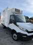 Iveco Daily Chasis Cabina 35C13 /P 3000 Tor 126 - thumbnail 3