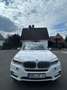 BMW X5 xDrivd 30d Headsup, Winterreifen inkl. Weiß - thumbnail 1
