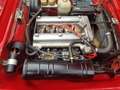 Alfa Romeo GT GT 1600 Junior Rojo - thumbnail 16