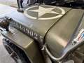 Jeep Willys - thumbnail 14