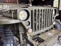 Jeep Willys - thumbnail 4