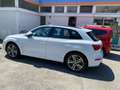 Audi Q5 50 3.0 tdi Sport quattro 286cv tiptronic - thumbnail 12