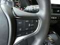 Lexus UX 250h HYBRID +LEDER +Zetelverwarming +Dodehoek +GPS Groen - thumbnail 20