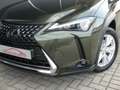 Lexus UX 250h HYBRID +LEDER +Zetelverwarming +Dodehoek +GPS Groen - thumbnail 26