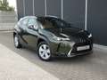 Lexus UX 250h HYBRID +LEDER +Zetelverwarming +Dodehoek +GPS Groen - thumbnail 1