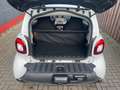 smart forTwo fortwo coupe Klima 1. Hand Alufelgen Wit - thumbnail 14
