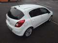 Opel Corsa INIETTORI NUOVI!GPL*2033!*5p*1.2*Ecotec*Gpl-tech Blanc - thumbnail 6