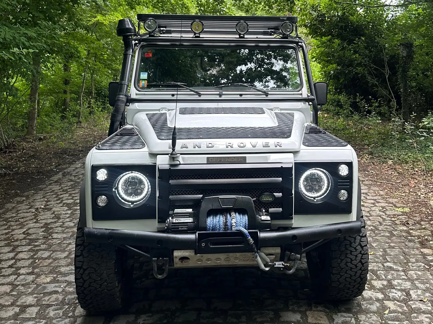 Land Rover Defender Defender 110 DPF Station Wagon SE - 1