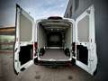 Ford Transit Transit Kasten Trend 350L3H2  2,0 EcoBlue 165PS... Weiß - thumbnail 13