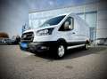 Ford Transit Transit Kasten Trend 350L3H2  2,0 EcoBlue 165PS... Weiß - thumbnail 3