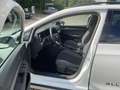 Volkswagen Golf Variant Golf VIII Variant Alltrack 2.0 TDI DSG AHK RFK A Wit - thumbnail 9