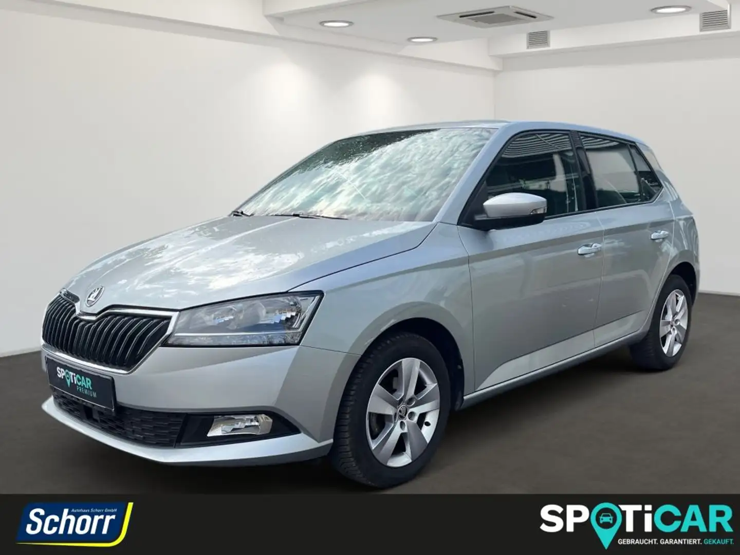 Skoda Fabia 1.0 TSI Style Kamera DAB+ Sitzheizung AHZV Allwett - 1