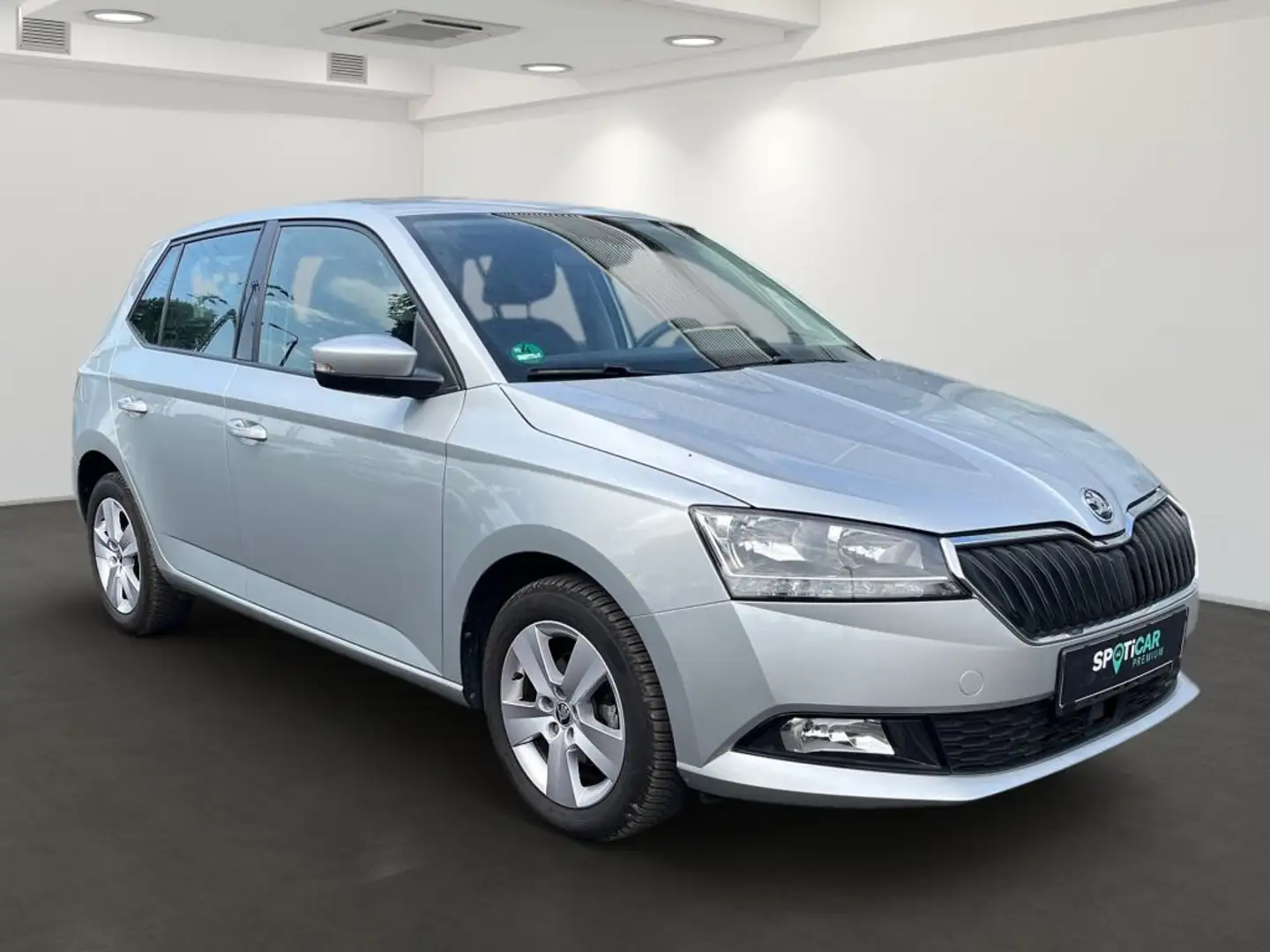 Skoda Fabia 1.0 TSI Style Kamera DAB+ Sitzheizung AHZV Allwett - 2