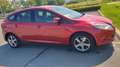 Ford Focus Traveller Trend 1,6 - thumbnail 20