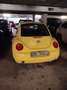 Volkswagen New Beetle - thumbnail 1