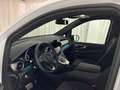 Mercedes-Benz V 300 d 4M AMG StdHzg Distr Airmatic ILS Weiß - thumbnail 7