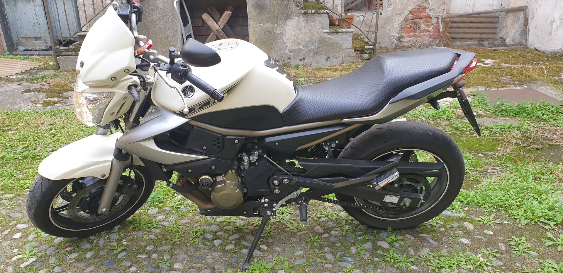 Yamaha XJ 6 White - 1