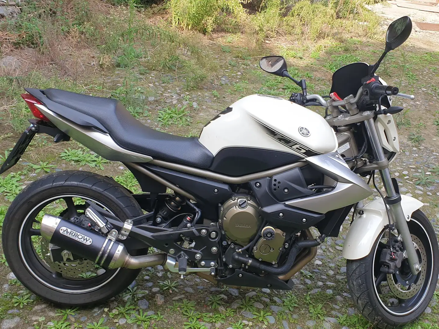 Yamaha XJ 6 White - 2