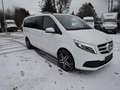 Mercedes-Benz V 250 d 4M EDITION Lang LED/Easy-Pack/Burmester White - thumbnail 9