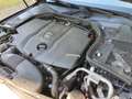Mercedes-Benz C 30 AMG Mercedes-Benz C 300 h BlueTEC Hybrid | AMG Line | Blau - thumbnail 15
