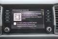 Skoda Kodiaq 2.0 tdi 150 cv 7 POSTI executive DSG *PREZZO VERO* - thumbnail 14