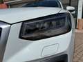 Audi Q2 Q2 35 TDI quattro S tronic Business Blanco - thumbnail 10