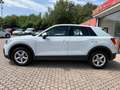 Audi Q2 Q2 35 TDI quattro S tronic Business Blanco - thumbnail 6