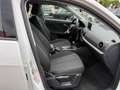 Audi Q2 Q2 35 TDI quattro S tronic Business Blanco - thumbnail 25
