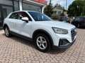 Audi Q2 Q2 35 TDI quattro S tronic Business Blanco - thumbnail 2