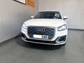 Audi Q2 design ed 1.6 TDI 85kW (116CV) S tronic Weiß - thumbnail 2
