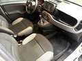 Fiat Panda Panda 1.0 firefly hybrid City Life Bianco - thumbnail 8