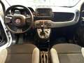 Fiat Panda Panda 1.0 firefly hybrid City Life Bianco - thumbnail 10