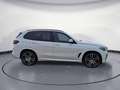 BMW X5 xDrive30d Navi Bluetooth PDC Klima DPF Weiß - thumbnail 6
