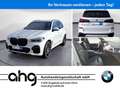 BMW X5 xDrive30d Navi Bluetooth PDC Klima DPF Weiß - thumbnail 1