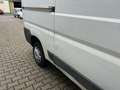 Fiat Ducato 130 (Rs: 3450 mm) Weiß - thumbnail 6