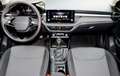 Skoda Fabia 1.0 TSI Selection 95PS-LED Kamera Tempomat Klimaau Gris - thumbnail 16