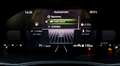 Skoda Fabia 1.0 TSI Selection 95PS-LED Kamera Tempomat Klimaau Gris - thumbnail 21