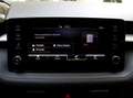 Skoda Fabia 1.0 TSI Selection 95PS-LED Kamera Tempomat Klimaau Gris - thumbnail 29