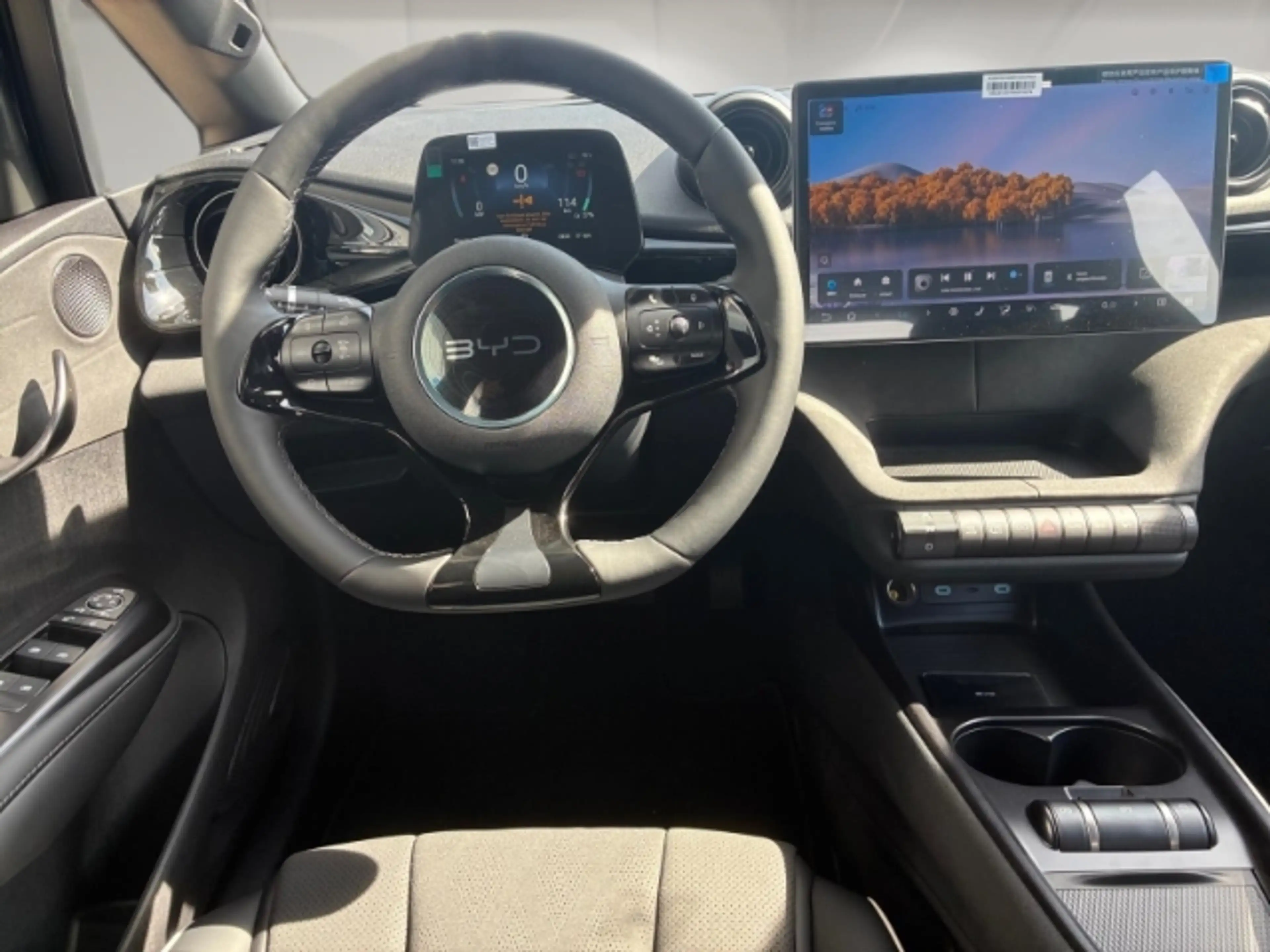 BYD Dolphin DMS 60,4 kWh Comfort 360 Grad/Navi/Sitzheizung/Kli — photo 11