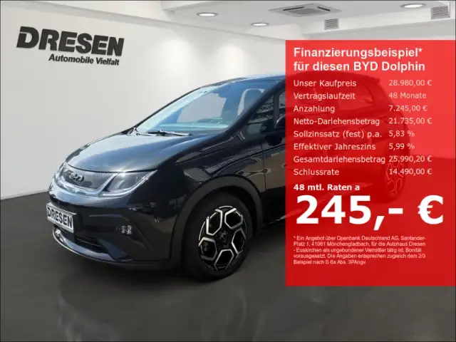BYD Dolphin