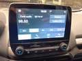 Ford EcoSport 1.0 EcoBoost 100 CV Plus Argent - thumbnail 31