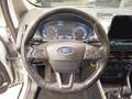 Ford EcoSport 1.0 EcoBoost 100 CV Plus Argent - thumbnail 28