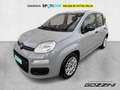 Fiat Panda 1.0 FireFly S&S Hybrid Grijs - thumbnail 1