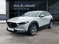 Mazda CX-30 e-SKYACTIVE G 140 Aut. CENTRE-LINE Weiß - thumbnail 1