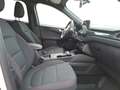 Ford Kuga 2,0 EcoBlue Hybrid ST-Line Aut. Weiß - thumbnail 10