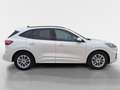 Ford Kuga 2,0 EcoBlue Hybrid ST-Line Aut. Weiß - thumbnail 16