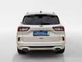 Ford Kuga 2,0 EcoBlue Hybrid ST-Line Aut. Weiß - thumbnail 14
