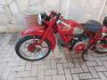 Moto Guzzi Falcone 500 sport Rosso - thumbnail 8